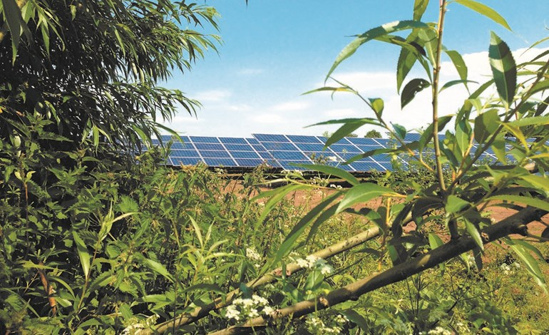 DIF snaps up UK solar-storage portfolio
