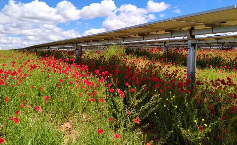 Iberdrola turns sod on Portuguese PV pair