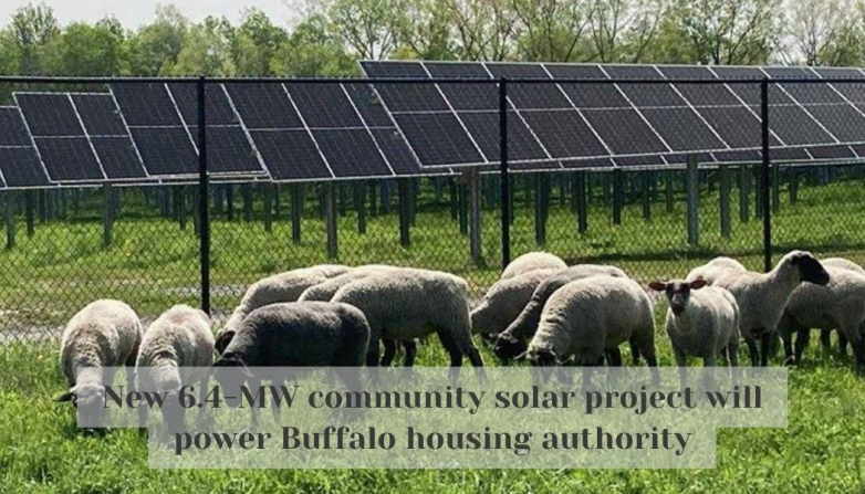 New 6.4-MW community solar project will power Buffalo housing authority