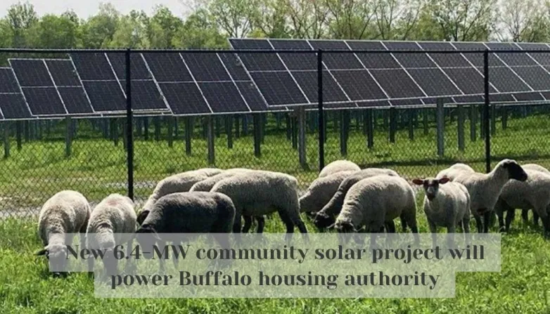 New 6.4-MW community solar project will power Buffalo housing authority