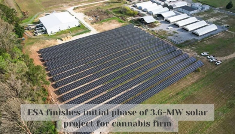 ESA finishes initial phase of 3.6-MW solar project for cannabis firm