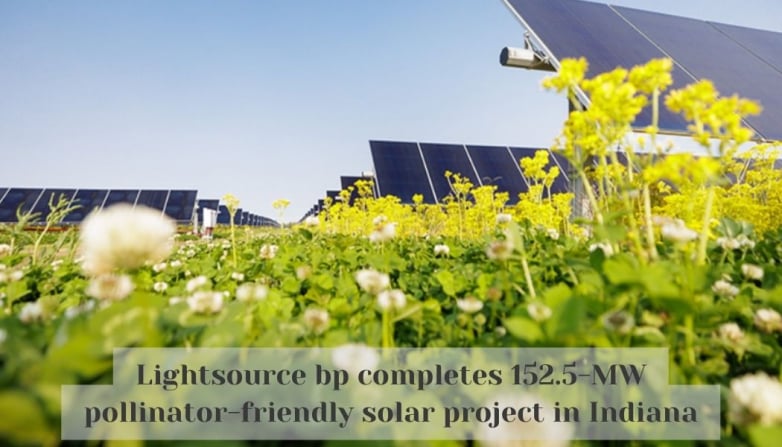 Lightsource bp completes 152.5-MW pollinator-friendly solar project in Indiana