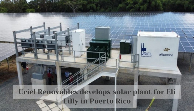 Uriel Renovables develops solar plant for Eli Lilly in Puerto Rico