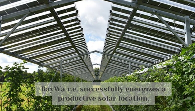 BayWa r.e. successfully energizes a productive solar location