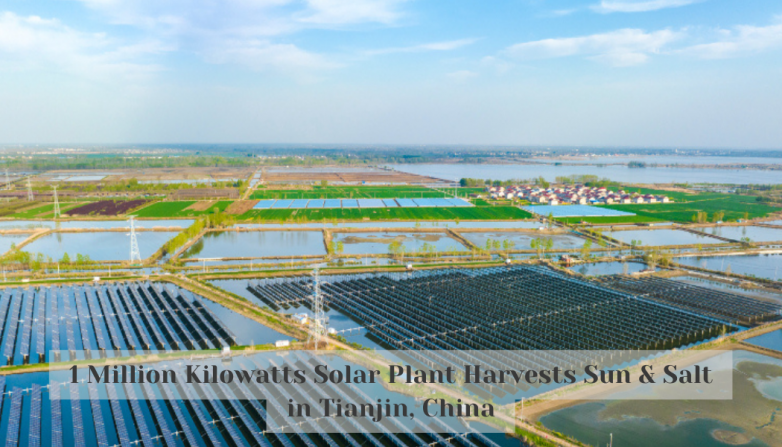1 Million Kilowatts Solar Plant Harvests Sun & Salt in Tianjin, China