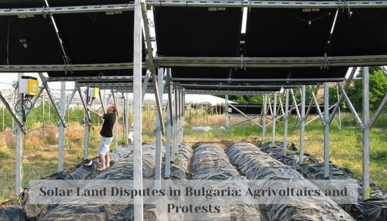 Solar Land Disputes in Bulgaria: Agrivoltaics and Protests