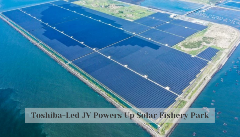 Toshiba-Led JV Powers Up Solar Fishery Park