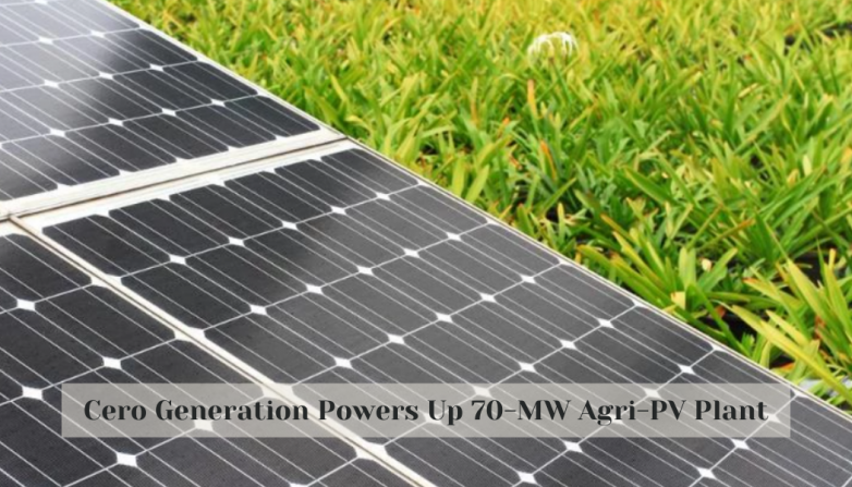 Cero Generation Powers Up 70-MW Agri-PV Plant