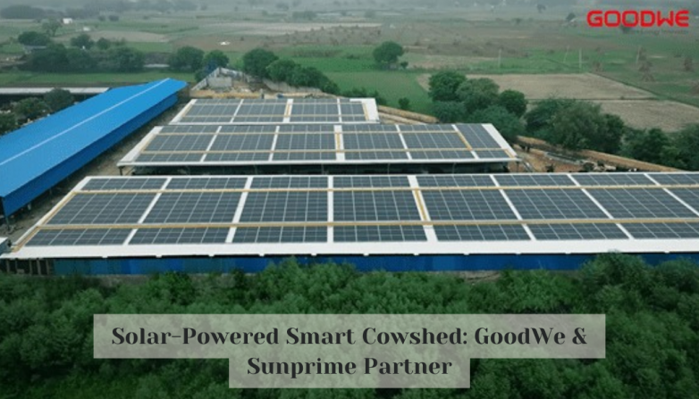 Solar-Powered Smart Cowshed: GoodWe & Sunprime Partner