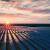 EDPR Unveils 74-MW Solar Farm in North Carolina