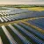 European Energy Sells Major US Solar Project