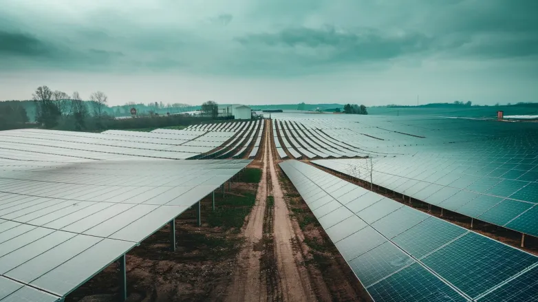 Tauron Energizes 55-MW Solar Farm in Poland