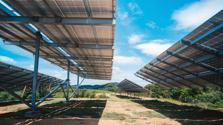 Brazil's Sugarcane Yields Rise with Agrivoltaic Innovation