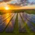 Solar output overtakes coal in Texas, marking historic power shift