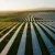 European Energy Starts Sicily’s 225.5-MW Agrivoltaic Park