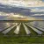 Panamint Kicks Off 1.2GW Solar on Texas Coal Site